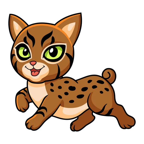 Vector Illustration Cute Pixie Bob Cat Cartoon — Stock Vector