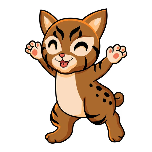 Ilustração Vetorial Desenho Animado Bonito Pixie Bob Cat — Vetor de Stock