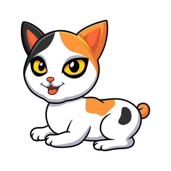Vector Illustration Cute Japanese Bobtail Cat Cartoon — Stock Vector