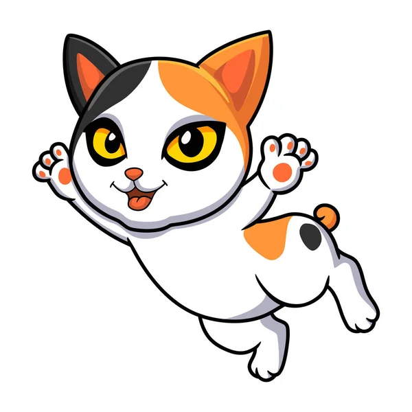 Vektor Illustration Der Niedlichen Japanischen Bobtail Katze Cartoon — Stockvektor