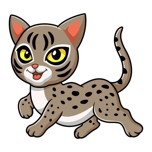 Εικονογράφηση Διάνυσμα Του Χαριτωμένα Ocicat Γάτα Περπάτημα Κινουμένων Σχεδίων — Διανυσματικό Αρχείο