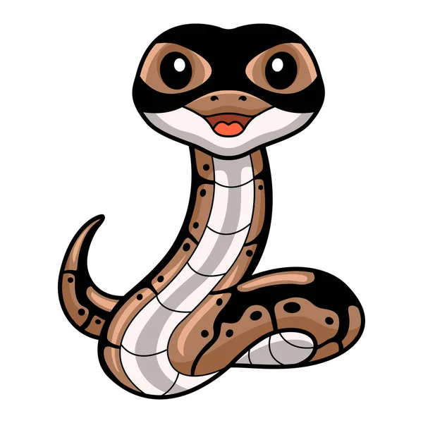 Vector Illustration Cute Ball Python Snake Cartoon — Vector de stock