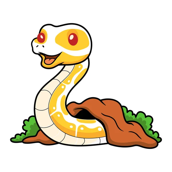 Vektor Illustration Der Niedlichen Albino Kugel Python Schlangenkarikatur Aus Dem — Stockvektor