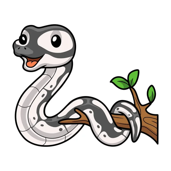 나뭇가지에 Cute Axanthic Ball Python 만화의 — 스톡 벡터