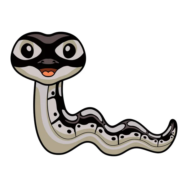 복족강 모양의 비단뱀 — 스톡 벡터
