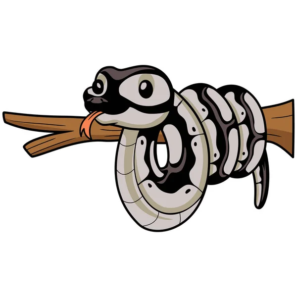 Vektorová Ilustrace Roztomilého Python Had Karikatura Větvi Stromu — Stockový vektor