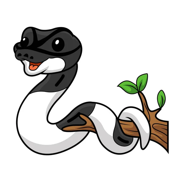かわいいパンダのベクトルイラストPied Ball Python漫画On Tree Branch — ストックベクタ