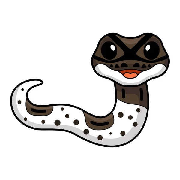 Ilustração Vetorial Bonito Oreo Pied Bola Python Desenhos Animados — Vetor de Stock