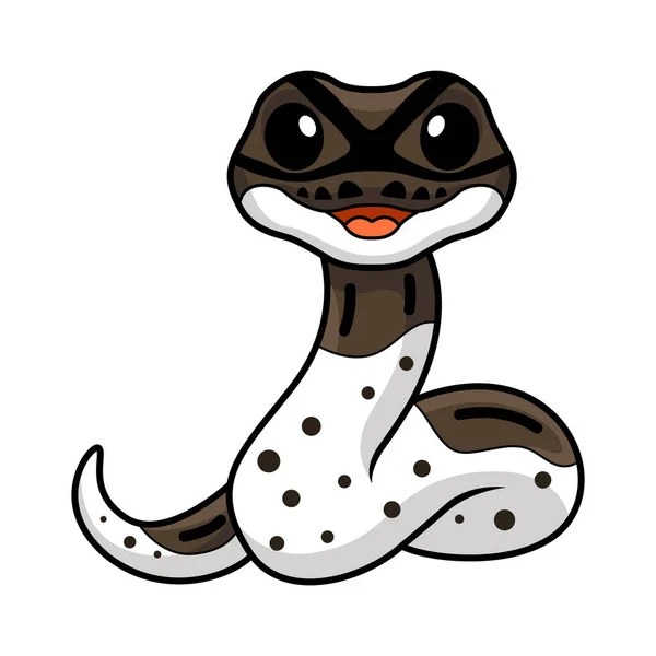 Ilustração Vetorial Bonito Oreo Pied Bola Python Desenhos Animados —  Vetores de Stock