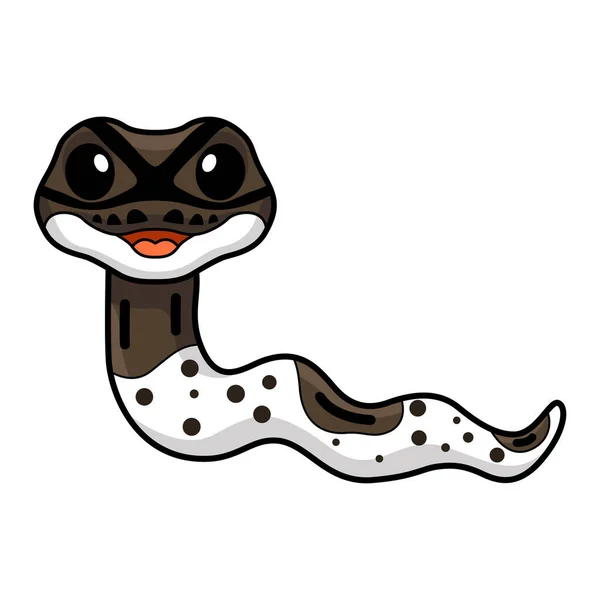 Ilustração Vetorial Bonito Oreo Pied Bola Python Desenhos Animados —  Vetores de Stock