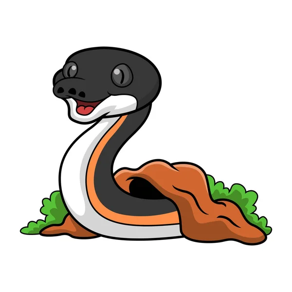 Illustration Vectorielle Mignon Serpent Albertisi Dessin Animé Partir Trou — Image vectorielle