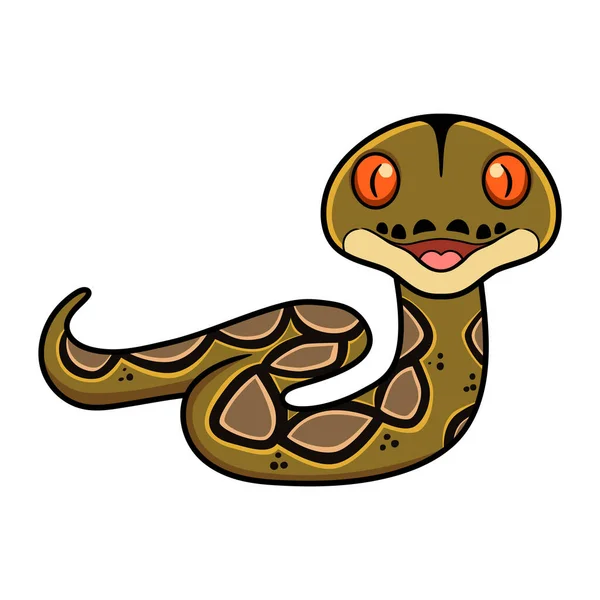Ilustração Vetorial Bonito Feliz Reticulatus Python Desenhos Animados —  Vetores de Stock