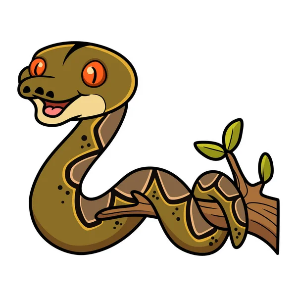 Vector Illustration Cute Reticulatus Python Cartoon Tree Branch — Stock Vector