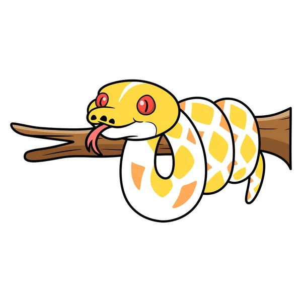 가지에 Cute Amelanistic Reticulted Python 만화의 — 스톡 벡터