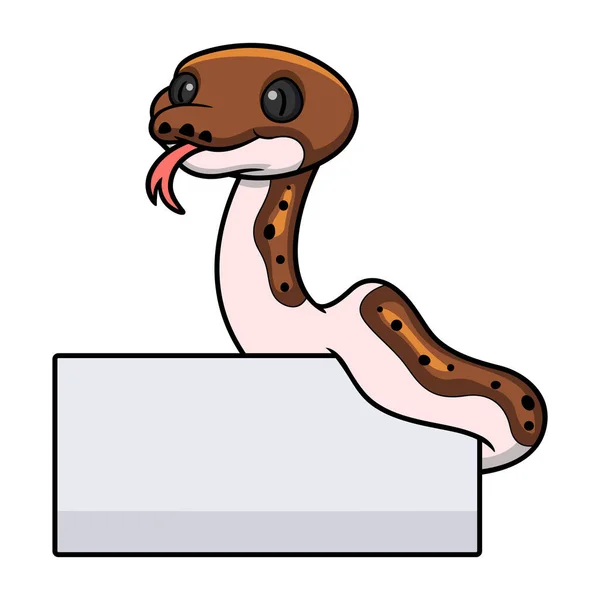 Ilustração Vetorial Bonito Pied Reticulado Python Desenhos Animados Com Sinal —  Vetores de Stock
