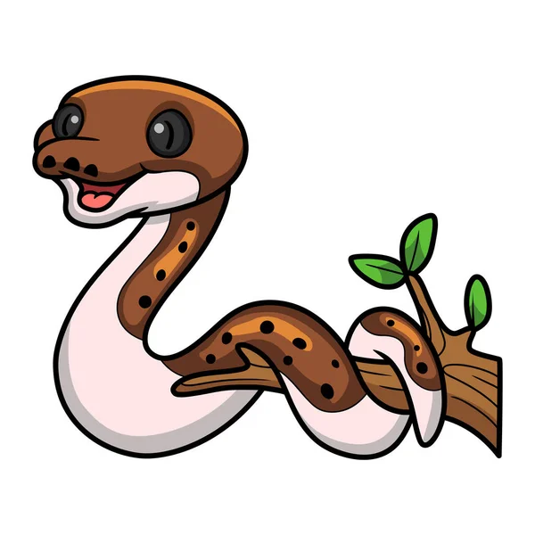 Ilustração Vetorial Bonito Pied Reticulado Python Desenhos Animados Árvore Ramo —  Vetores de Stock