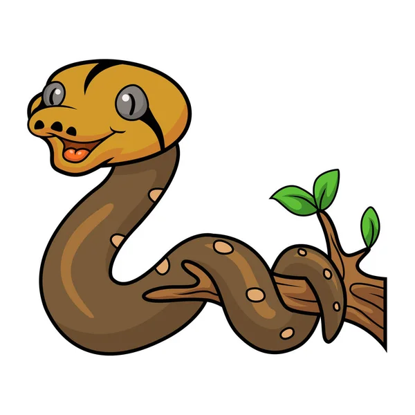 可爱的金童网状蟒蛇在树枝上的矢量图解 — 图库矢量图片
