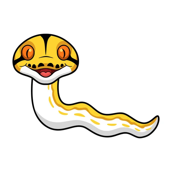 Cute Albino 호랑이의 Reticulted Python — 스톡 벡터