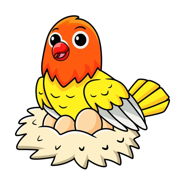 Wektor Ilustracja Cute Lutino Lovebird Kreskówki Jaj Gnieździe — Wektor stockowy