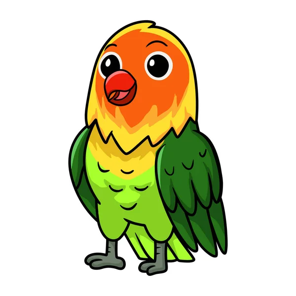 Vektor Ilustrasi Cute Fischer Cinta Kartun Burung - Stok Vektor