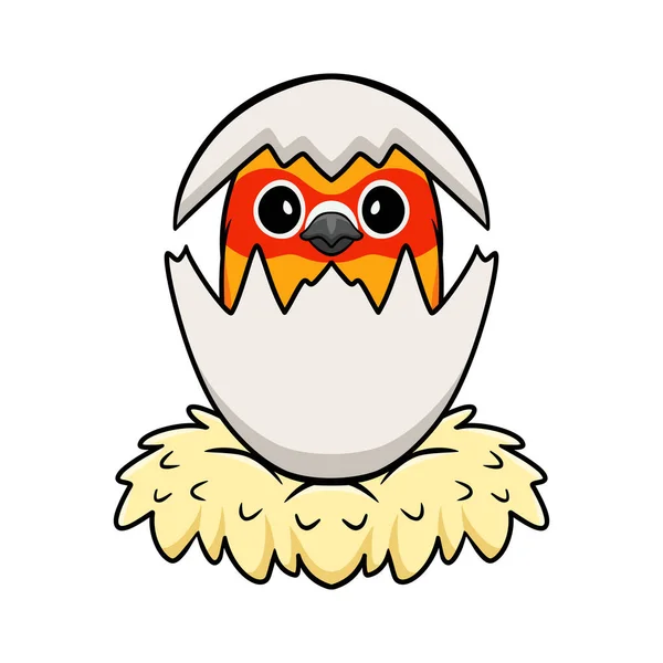 鸡蛋里面的可爱的黄绿鹦鹉情鸟卡通画 — 图库矢量图片