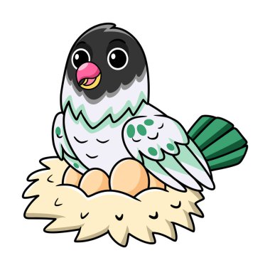 Yuvasında yumurtaları olan sevimli agapornis malta aşk kuşu çizgi filminin temsilcisi.