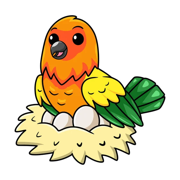 Vektor Illustration Von Niedliche Sonne Conure Papagei Karikatur Mit Eiern — Stockvektor