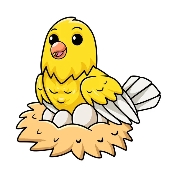 鸟巢中装有蛋的可爱金丝雀卡通画 — 图库矢量图片
