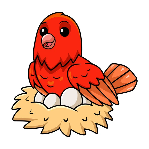 鸟巢中装有蛋的可爱红因子金丝雀卡通画的矢量图解 — 图库矢量图片