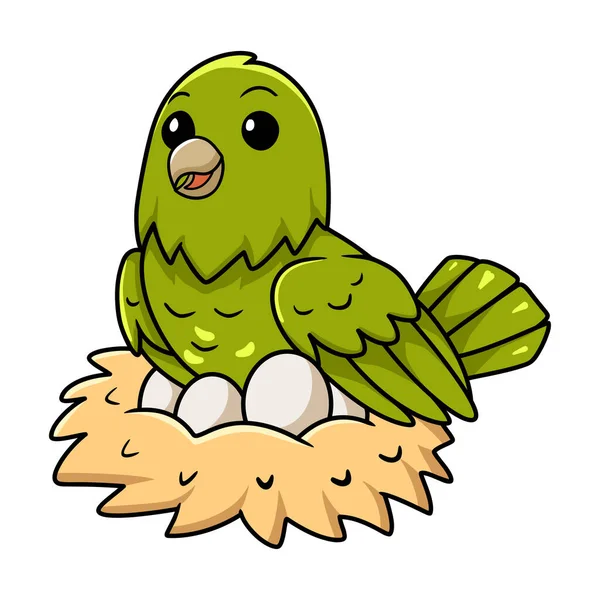 鸟巢中装有蛋的可爱绿色金丝雀卡通画的矢量图解 — 图库矢量图片