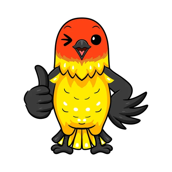 Ilustración Vectorial Dibujos Animados Lindo Pájaro Tánger Occidental Dando Pulgar — Vector de stock