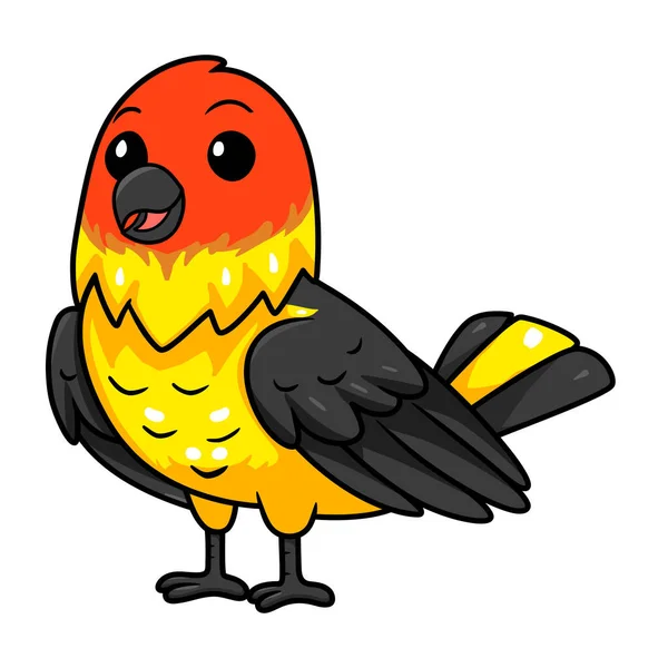 Ilustração Vetorial Bonito Ocidental Tanager Pássaro Desenhos Animados —  Vetores de Stock