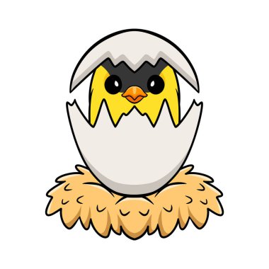 Vector illustration of Cute common backyard bird cartoon inside from egg