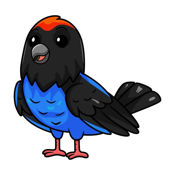 Illustration Vectorielle Mignon Bleu Manakin Oiseau Dessin Animé — Image vectorielle