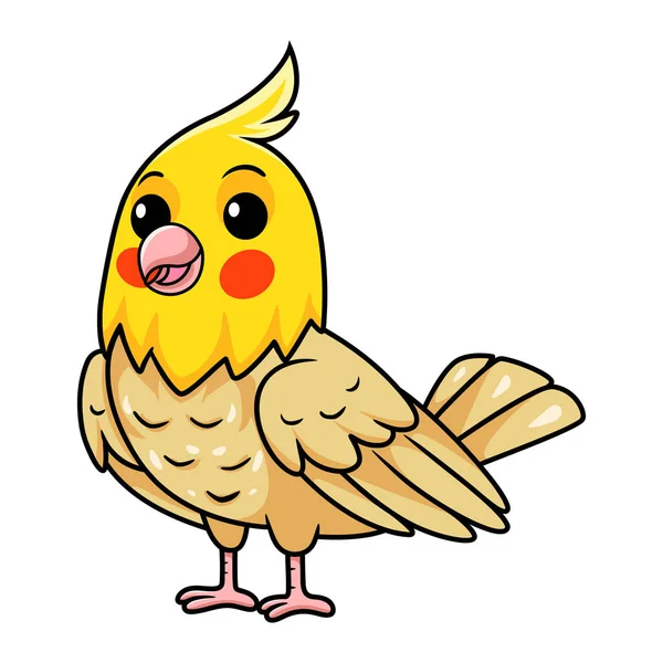 Wektor Ilustracja Cute Lutino Cockatiel Ptaków Kreskówki — Wektor stockowy