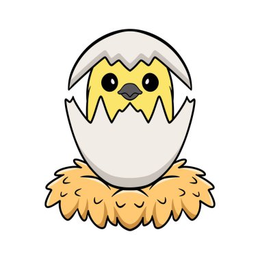 Yumurtadan çıkan şirin gri kakaolu kuş çizgi filminin vektör çizimi