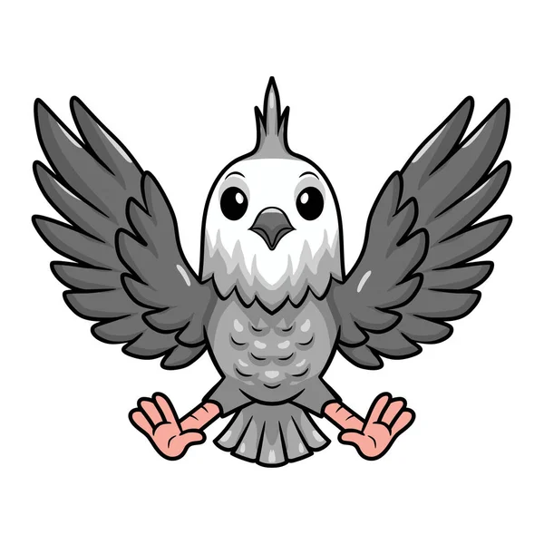Wektor Ilustracja Cute Białej Twarzy Cockatiel Ptaków Kreskówki — Wektor stockowy