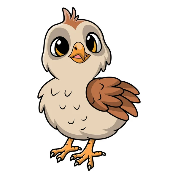 Vektorové Ilustrace Roztomilé Křepelky Pták Kreslené Bílém Pozadí — Stockový vektor