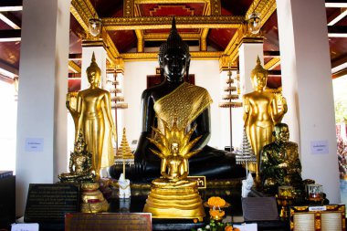 Taylandlılar ve Taylandlılar için güzel Buda heykeli 28 Ekim 2022 'de Phitsanulok, Tayland' da bulunan Wat Phra Si Rattana Mahathat ya da Yai Tapınağı 'ndaki kutsal efsaneye saygı duası ederek seyahat eder.