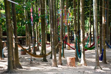 Tayland 'ın Ratchaburi kentindeki Suan Phueng şehrinde, Tayland' da, Tayland 'da, Tayland' da, Tayland 'da, Cher Si Ya Karen etnik pazarı bahçesindeki palmiye ağacında, hamak ağ gergisi ya da halat beşiği.