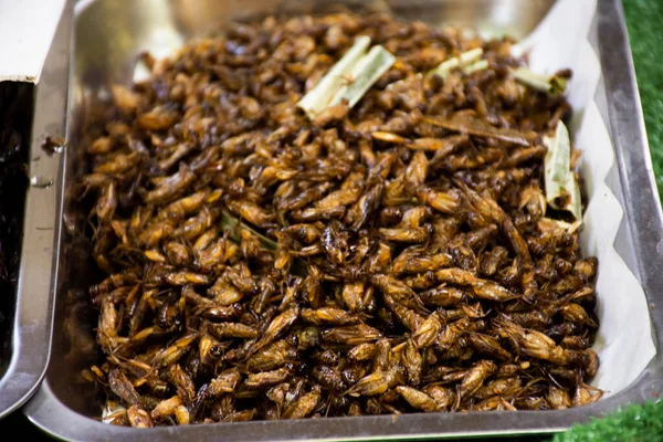 stock image Thai vendor merchant cooking local exotic cuisine from bug and herbal or food fried insect with herb on stall hawker sale in Cher Si Ya street market bazaar at Suan Phueng city in Ratchaburi, Thailand