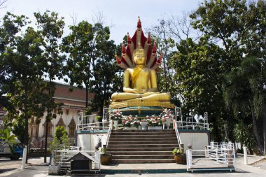 Buda 'nın meditasyon tutumu, 3 Kasım 2022' de Suphan Buri Tayland 'da Wat Thap Kradan Tapınağı' na dua eden Tayland halkı için efsanevi yılan ya da Naga Prok tarafından korunmaktadır.
