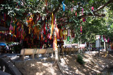 Taylandlı gezginler için antik küçük bir tapınak 3 Kasım 2022 'de Suphan Buri, Tayland' da kutsanmış kutsal ağaç için dua eden tanrısal meleğe ve renk kumaşına adaklara ziyaret edin.