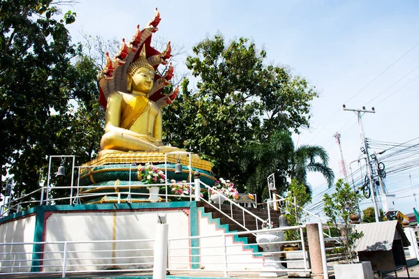 Buddha Attityd Meditation Skyddad Täcka Huvudet Mytomspunna Orm Eller Naga — Stockfoto