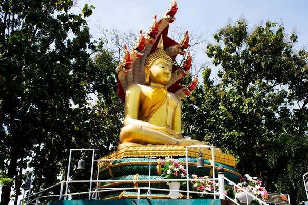Atitude Buda Meditação Protegeu Cabeça Cobertura Pela Serpente Mítica Naga — Fotografia de Stock