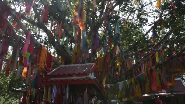 Antiker Kleiner Schrein Für Thailänder Reisende Besuchen Betenden Gottheitenengel Und — Stockvideo
