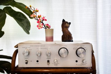 İç dekorasyon mobilyaları, seramik vazo ve sakura çiçekli ahşap çizgi film kedisi Tayland Bangkok 'ta dinleniyor.