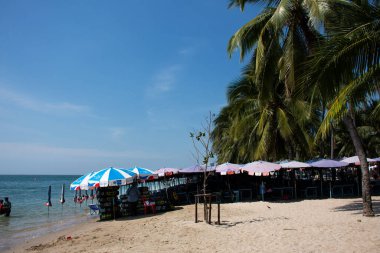 Taylandlılar ve Taylandlılar için plaj şemsiyesi ve mobilya 8 Kasım 2022 'de Chonburi, Tayland' da Bangsaen Sahili 'nde deniz kenarında yüzmek arasında dinleniyor.