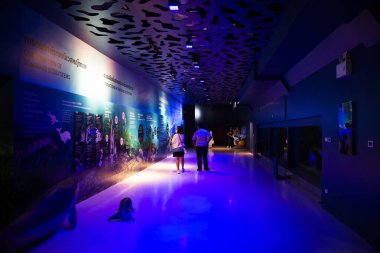 Institute building Marine Aquarium and Science Museum of Burapha University for thai people traveler travel visit learning aquatic animals sealife at Bangsaen on December 28, 2022 in Chonburi Thailand