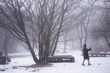 Koreli ve yabancı gezginler, Jeju, Güney Kore 'deki Jeju adasındaki orman ormanlarında kar yağarken, Hanla Dağı volkanı veya Halla Dağı' ndaki doğal bahçeyi ziyaret ederler.